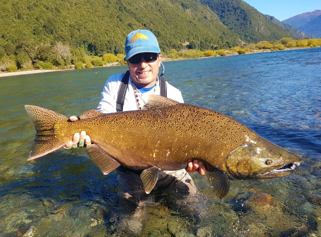 Cabanas Nutrias Patagonicas Puelo River Eksteriør bilde
