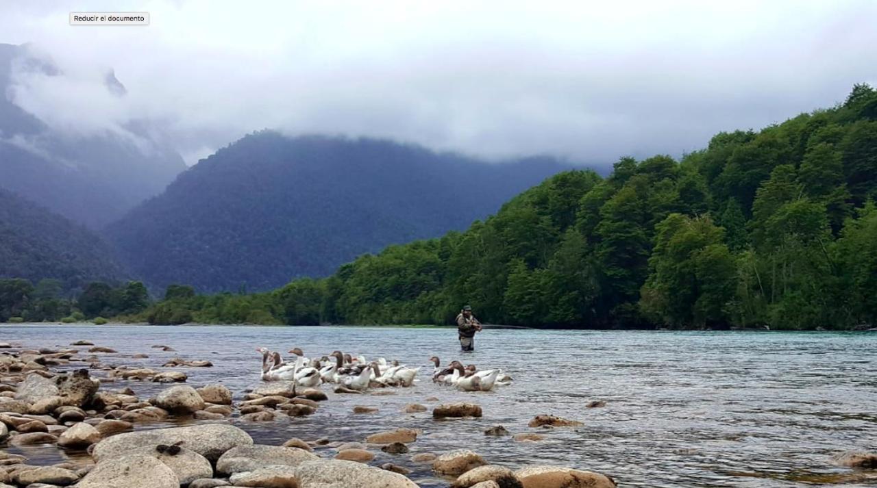 Cabanas Nutrias Patagonicas Puelo River Eksteriør bilde